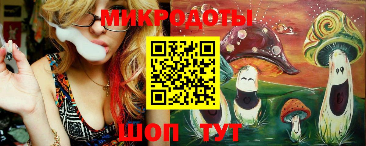 Псилоцибиновые грибы Psilocybine cubensis  Вход с VPN  Знаменск 
